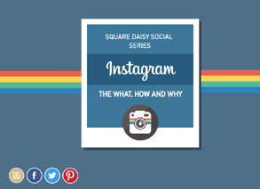 Square Daisy instagram Square Daisy instagram